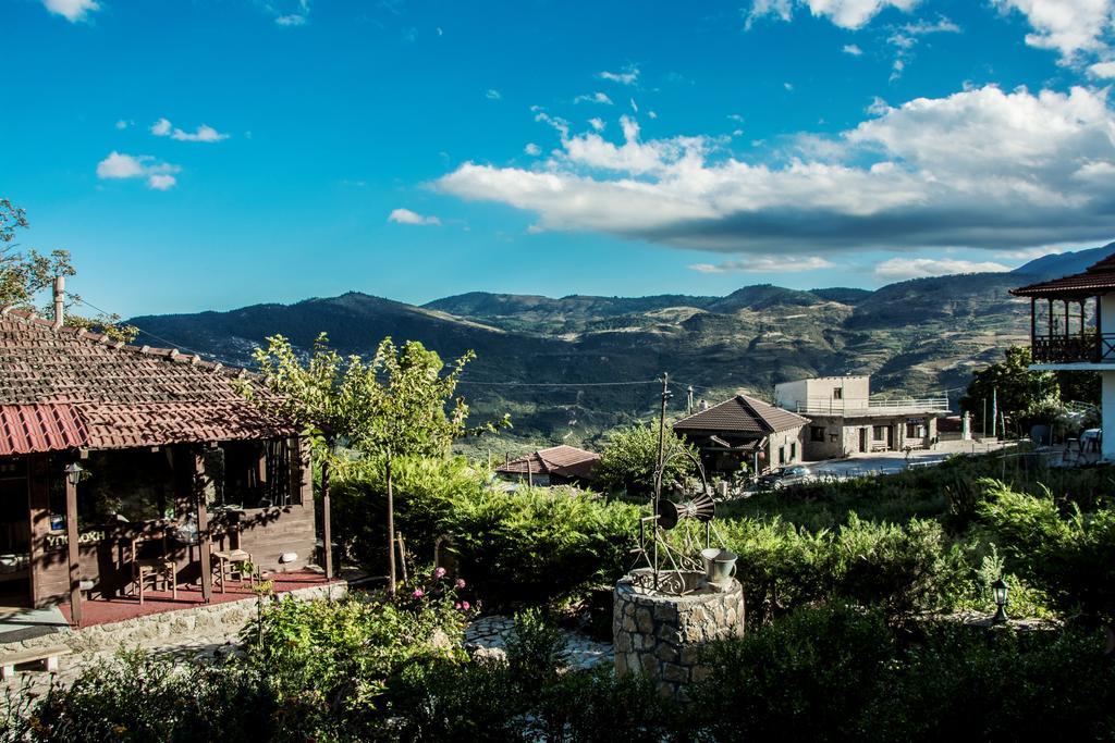 Theasis Suites-Ορεινή Φιλοξενία Kato Sinikia Trikalon Bagian luar foto