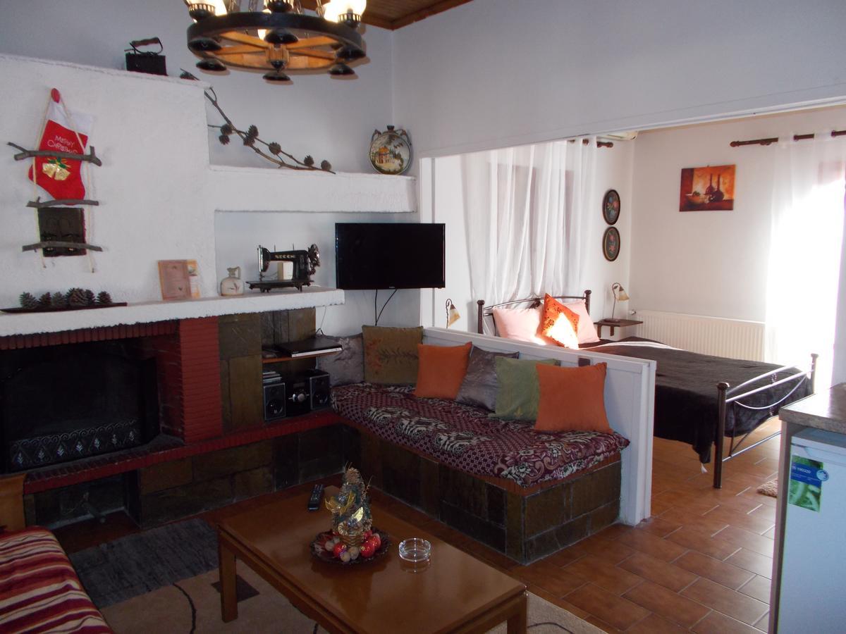 Theasis Suites-Ορεινή Φιλοξενία Kato Sinikia Trikalon Bagian luar foto